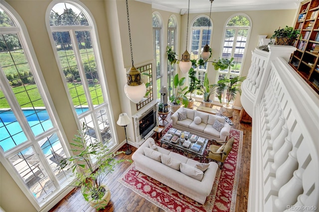 living room featuring wood-type flooring, ornamental molding, and a high ceiling