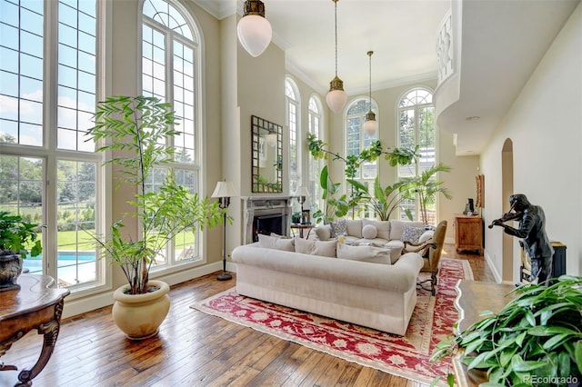 living room with crown molding, hardwood / wood-style flooring, and a high ceiling