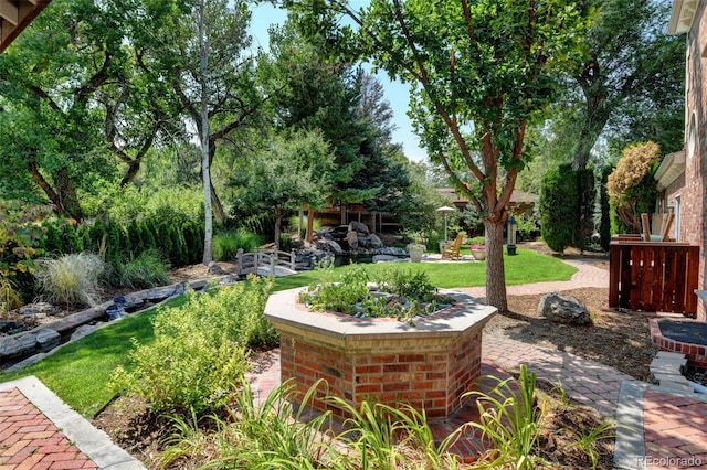 view of yard featuring a patio area