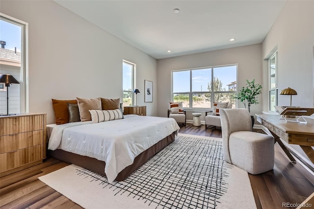 574 Agoseris Way, Castle Rock, CO 80104 - photo 12