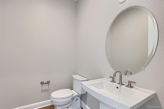 574 Agoseris Way, Castle Rock, CO 80104 - photo 16
