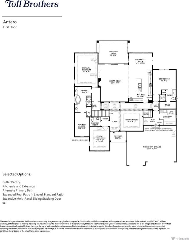 574 Agoseris Way, Castle Rock, CO 80104 - photo 20