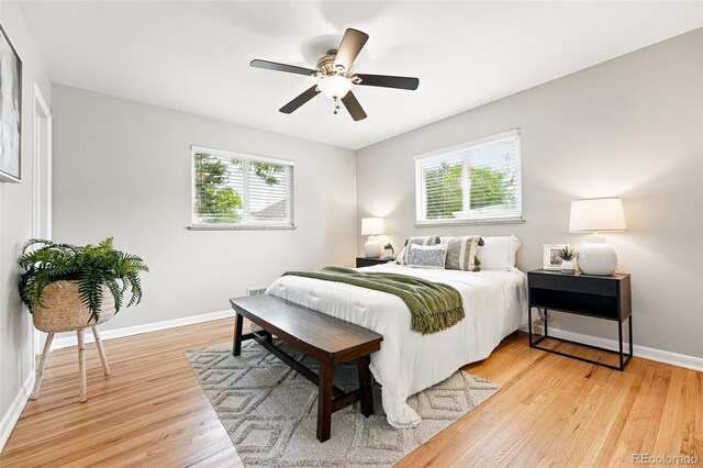 5436 E Atlantic Pl, Denver, CO 80222 - bedroom featuring multiple windows, light wood-type flooring, baseboards, and ceiling fan