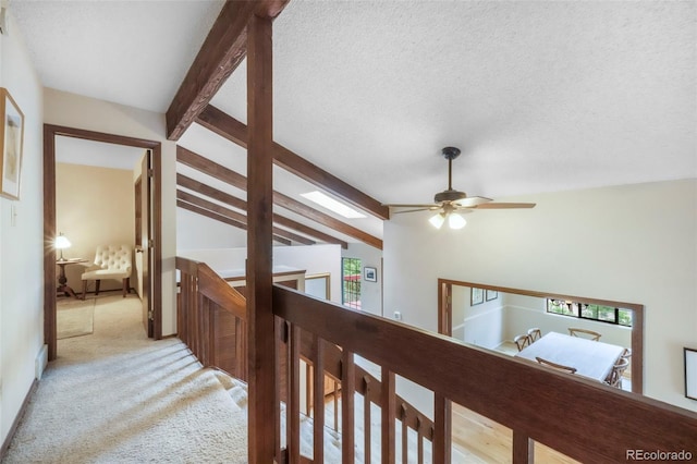 510 Silhouette Way, Monument, CO 80132 - hallway with an upstairs landing and carpet floors