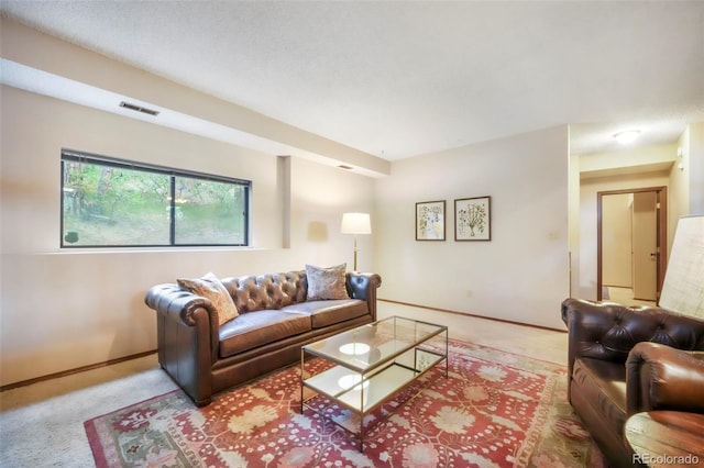 510 Silhouette Way, Monument, CO 80132 - living area with carpet flooring