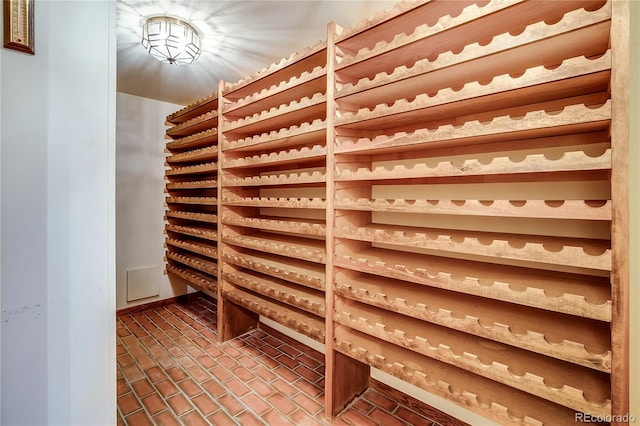 wine room featuring brick floor