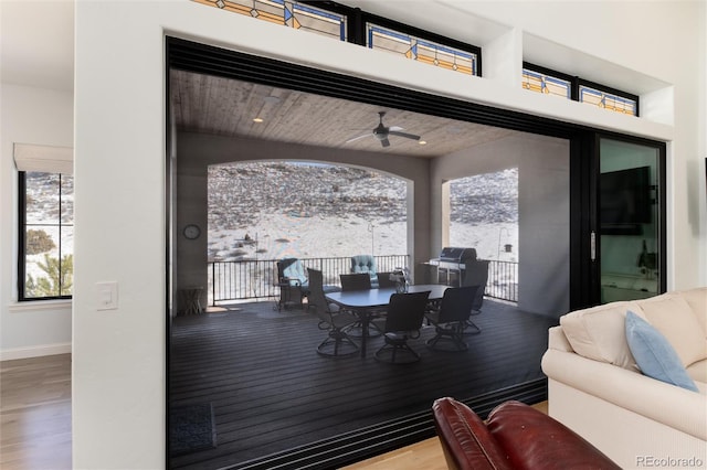 interior space featuring grilling area and ceiling fan