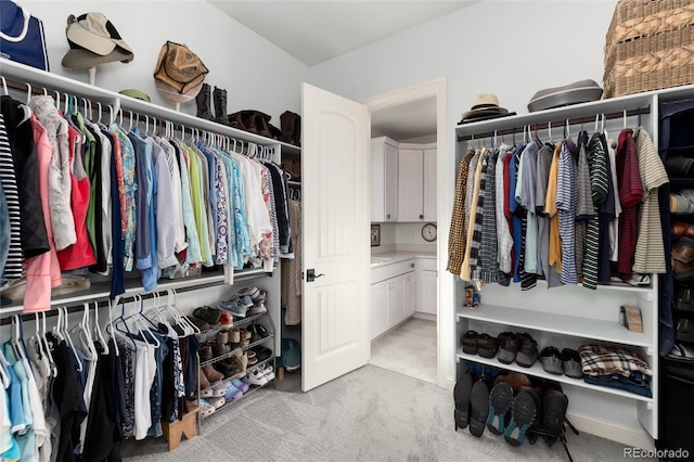 spacious closet with light colored carpet