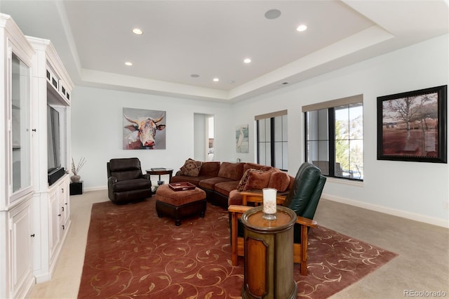 carpeted living room featuring a raised ceiling