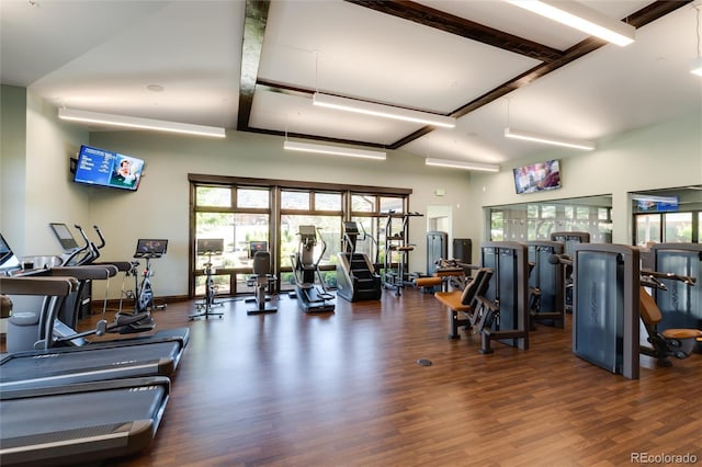 exercise room with dark hardwood / wood-style floors