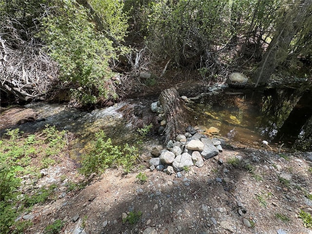 125 Deer Run, Mosca, CO 81146 - view of undeveloped land