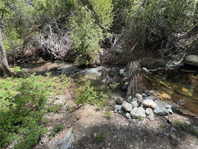 125 Deer Run, Mosca, CO 81146 - view of local wilderness