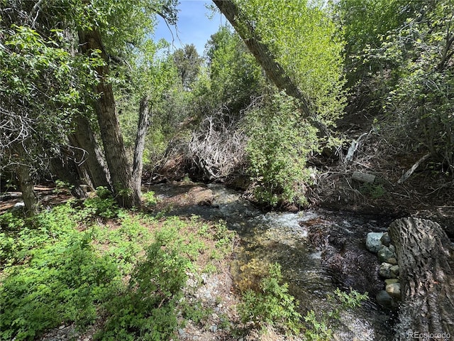125 Deer Run, Mosca, CO 81146 - view of undeveloped land