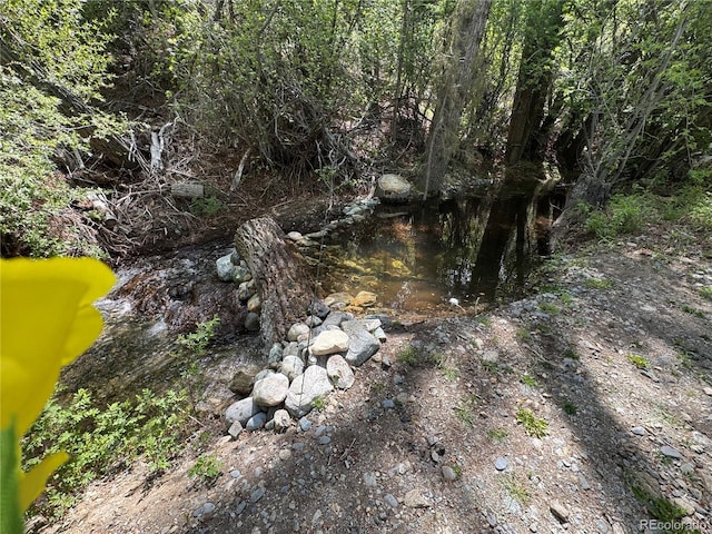 125 Deer Run, Mosca, CO 81146 - view of local wilderness