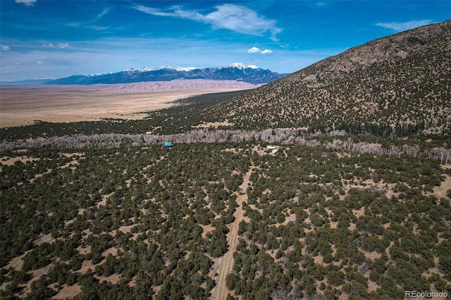 125 Deer Run, Mosca, CO 81146 - mountain view