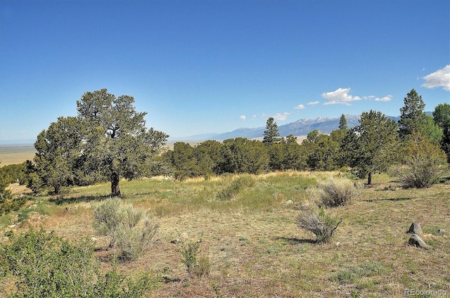 125 Deer Run, Mosca, CO 81146 - photo 29