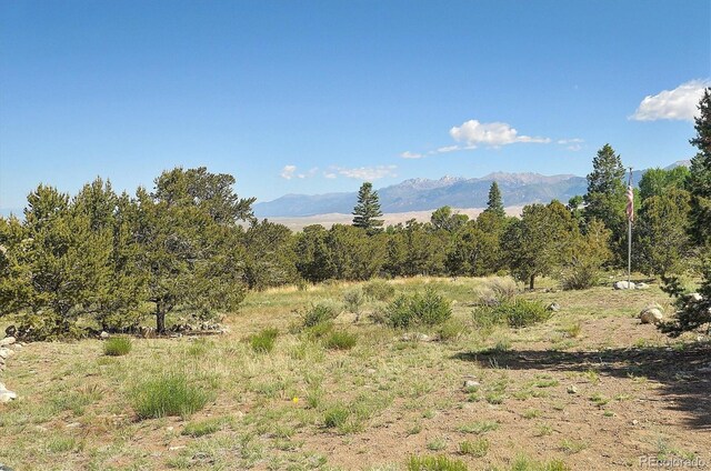 125 Deer Run, Mosca, CO 81146 - photo 30