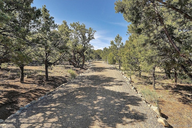 125 Deer Run, Mosca, CO 81146 - photo 31