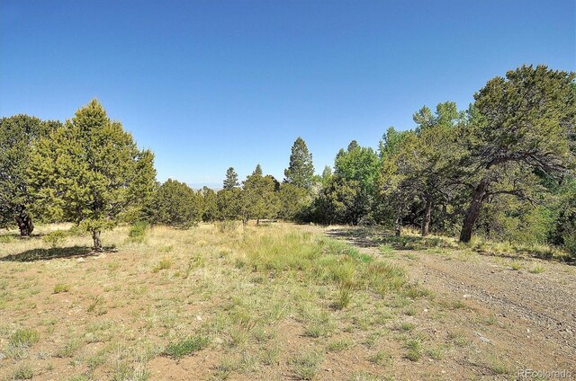 125 Deer Run, Mosca, CO 81146 - photo 33