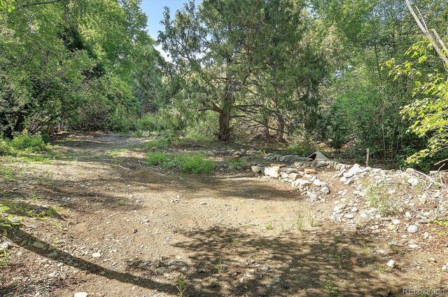 125 Deer Run, Mosca, CO 81146 - photo 34