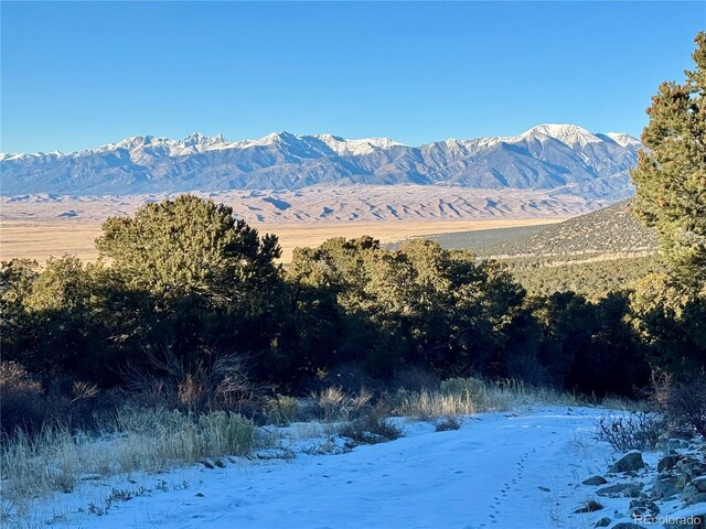 125 Deer Run, Mosca, CO 81146 - photo 42