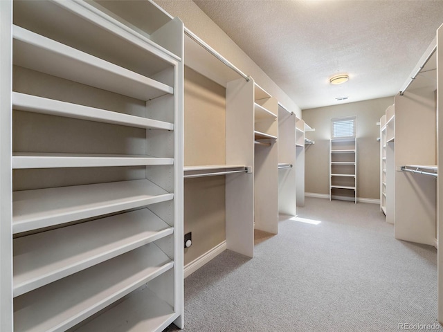 walk in closet featuring light colored carpet