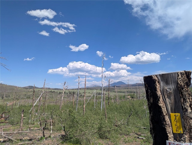 1956 Hilda Ln, Fort Garland, CO 81133 - photo 2