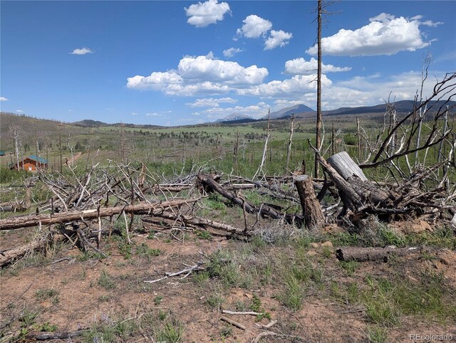1956 Hilda Ln, Fort Garland, CO 81133 - photo 4