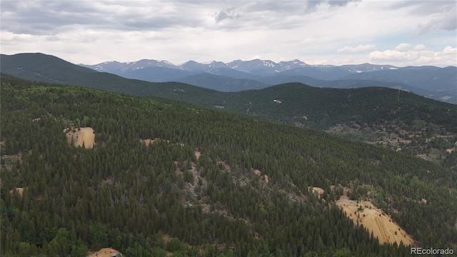 3747 S Spring Gulch Rd, Idaho Springs, CO 80452 - photo 1