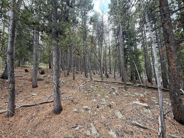 3747 S Spring Gulch Rd, Idaho Springs, CO 80452 - photo 2