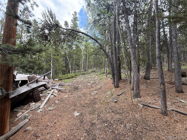 3747 S Spring Gulch Rd, Idaho Springs, CO 80452 - photo 3