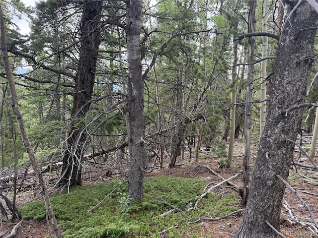 3747 S Spring Gulch Rd, Idaho Springs, CO 80452 - photo 4