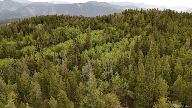 3747 S Spring Gulch Rd, Idaho Springs, CO 80452 - photo 5