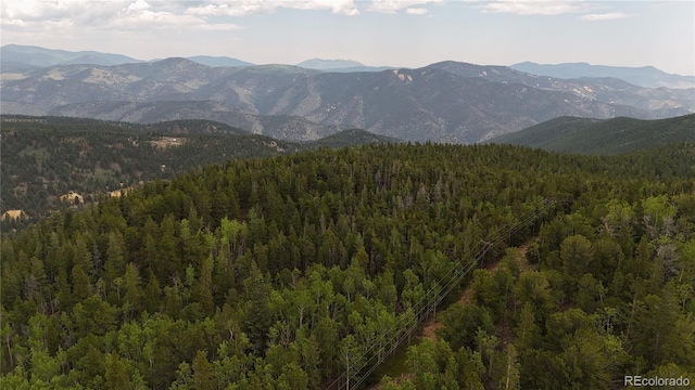 3747 S Spring Gulch Rd, Idaho Springs, CO 80452 - photo 6