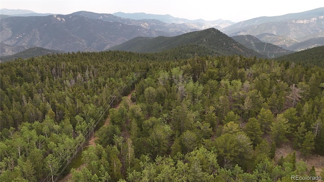 3747 S Spring Gulch Rd, Idaho Springs, CO 80452 - photo 7