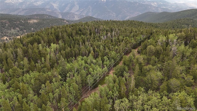 3747 S Spring Gulch Rd, Idaho Springs, CO 80452 - photo 8