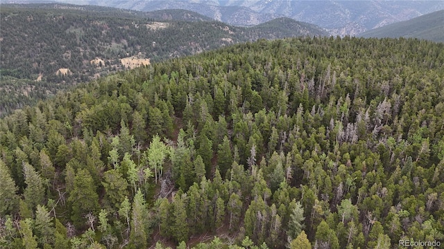 3747 S Spring Gulch Rd, Idaho Springs, CO 80452 - photo 9