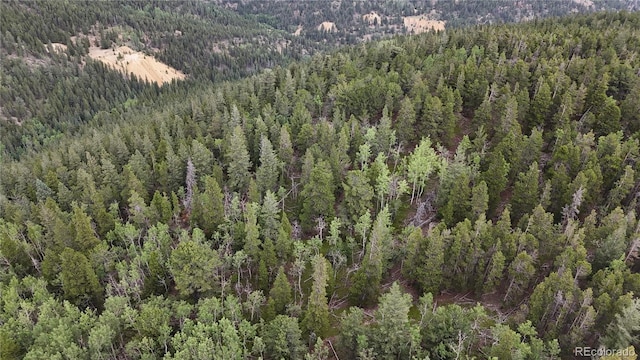 3747 S Spring Gulch Rd, Idaho Springs, CO 80452 - photo 10