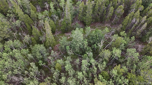 3747 S Spring Gulch Rd, Idaho Springs, CO 80452 - photo 11