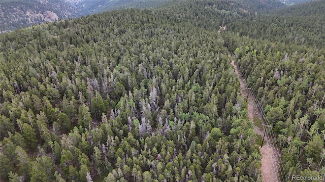 3747 S Spring Gulch Rd, Idaho Springs, CO 80452 - photo 12