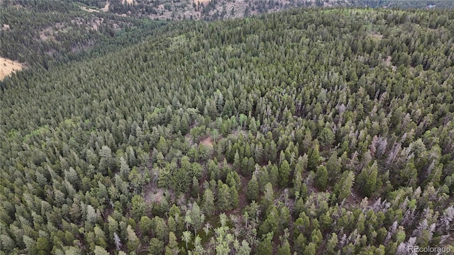 3747 S Spring Gulch Rd, Idaho Springs, CO 80452 - photo 16