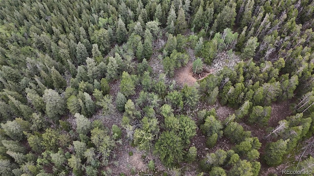 3747 S Spring Gulch Rd, Idaho Springs, CO 80452 - photo 17