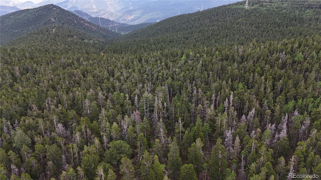 3747 S Spring Gulch Rd, Idaho Springs, CO 80452 - photo 18