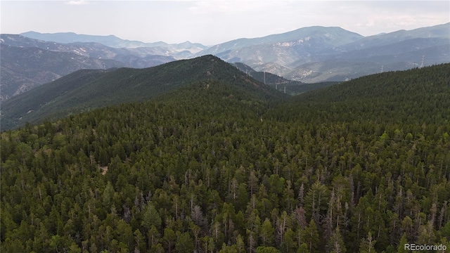 3747 S Spring Gulch Rd, Idaho Springs, CO 80452 - photo 19