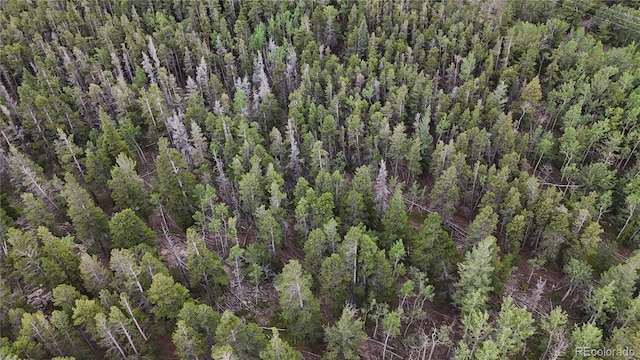 3747 S Spring Gulch Rd, Idaho Springs, CO 80452 - photo 20