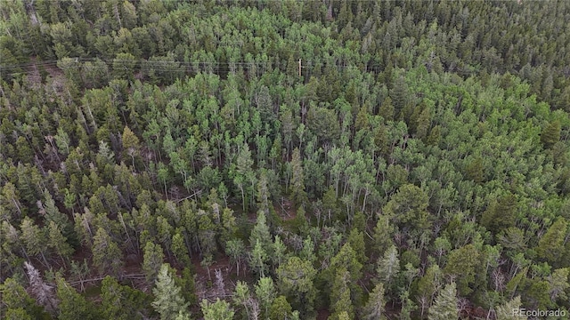 3747 S Spring Gulch Rd, Idaho Springs, CO 80452 - photo 21