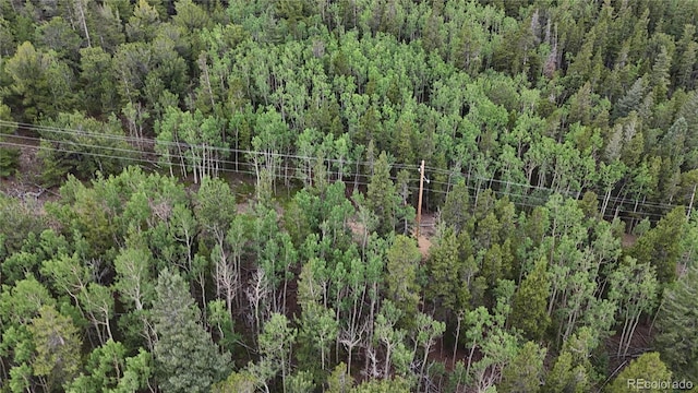 3747 S Spring Gulch Rd, Idaho Springs, CO 80452 - photo 23