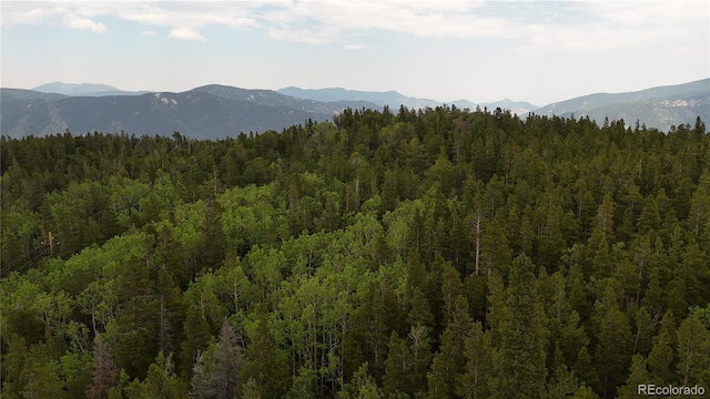 3747 S Spring Gulch Rd, Idaho Springs, CO 80452 - photo 24