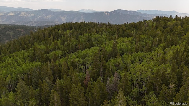 3747 S Spring Gulch Rd, Idaho Springs, CO 80452 - photo 25