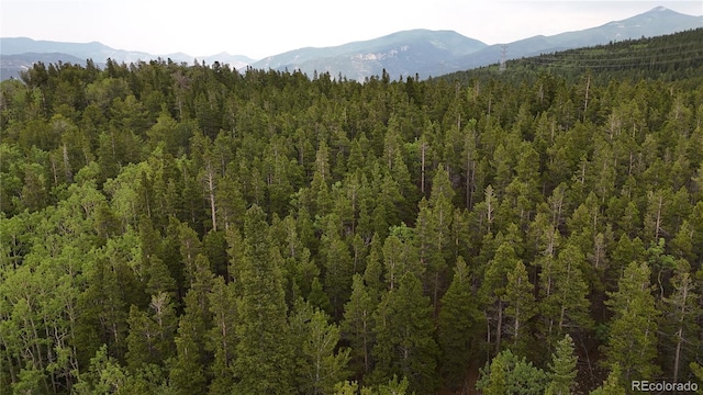 3747 S Spring Gulch Rd, Idaho Springs, CO 80452 - photo 26